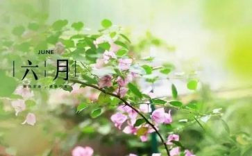 六月活动总结6篇
