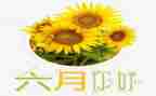 小班六月份工作计划6篇