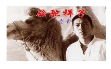 读骆驼祥子心得体会600字5篇