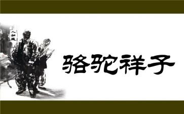 《骆驼祥子》读书心得体会6篇
