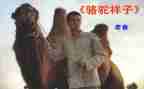 《骆驼祥子》的心得体会模板7篇