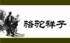 《骆驼祥子》读书心得体会6篇