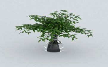 绿色的梦作文精选8篇