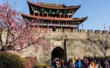 旅游心得体会参考5篇