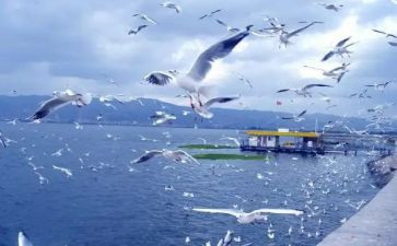 旅游活动方案策划8篇
