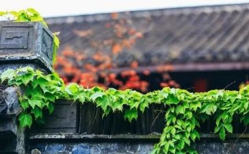 读傲慢与偏见心得体会参考6篇