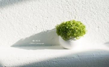 慢病管理工作计划7篇
