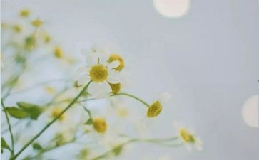 b站满分作文推荐8篇