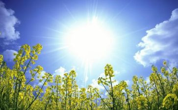 b站满分作文优秀7篇