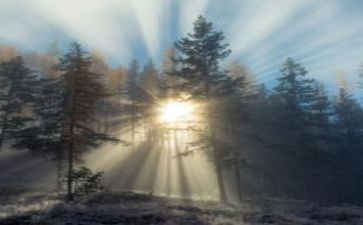 b站满分作文通用8篇