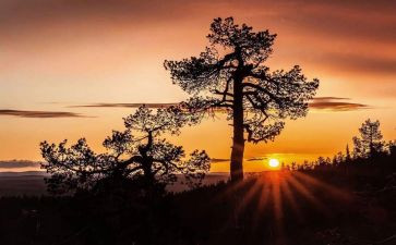 中考满分写人作文优质6篇