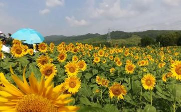 赞美科学家...的演讲稿8篇