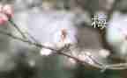 张桂梅个人事迹心得体会5篇