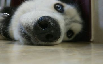 我没想到作文500字5篇