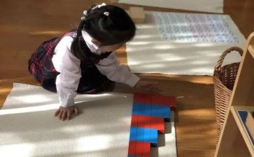 幼儿园蒙氏教育大班教学计划5篇