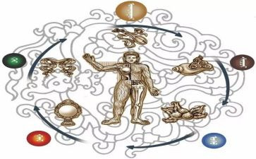 蒙医护士个人总结模板8篇