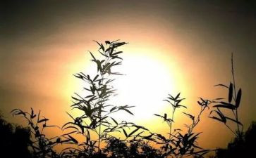 难忘的清明节作文6篇