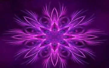 正能量作文800字6篇