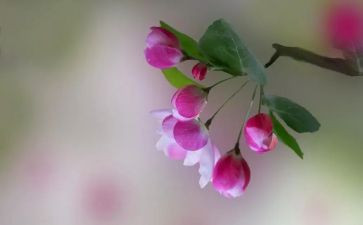 嘉年华观后感6篇
