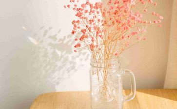 写嘉年华作文5篇