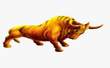 牛医师个人述职报告精选7篇
