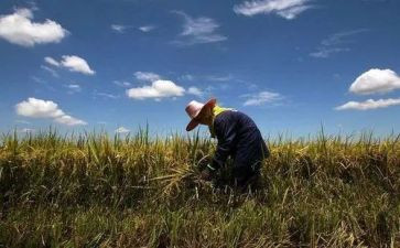 蛇和农夫的读后感5篇