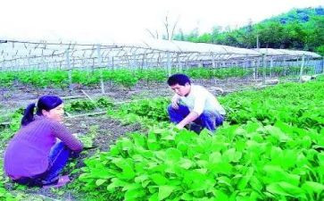 农技人员个人总结5篇