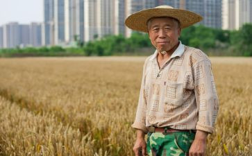 职业农民心得6篇