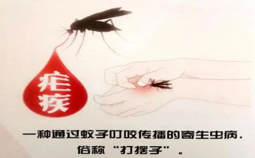 2024疟疾宣传总结7篇