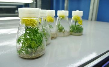 培养学生心得体会8篇