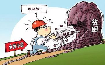 扶贫帮扶总结个人总结6篇