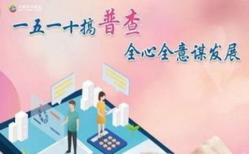 普查员个人总结8篇