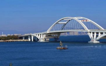 桥的高考作文8篇