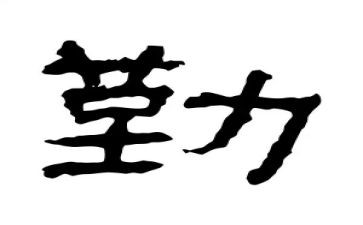 小学后勤教师工作计划6篇