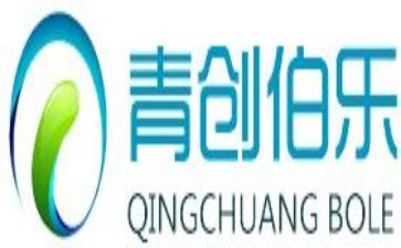 青创协会工作总结范文5篇
