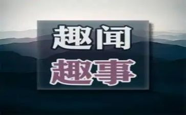 成长趣事的作文7篇