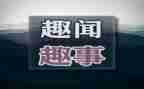 成长趣事的作文7篇