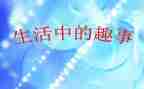 春节趣事作文600字作文最新7篇