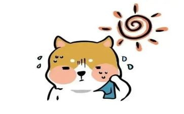 关于热心的作文5篇