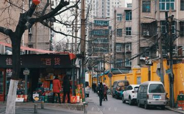 在人间我的大学读后感8篇