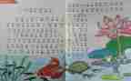 初三教师个人教学工作总结8篇