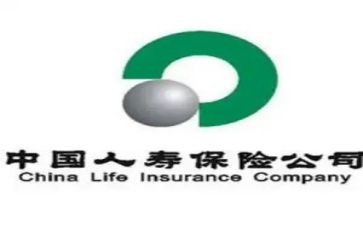 中国人寿综合柜员工作总结6篇