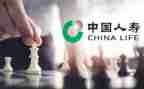 人寿保险的心得5篇