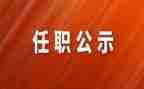 教师任职后心得体会8篇