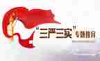 三严三实专题教育心得体会6篇