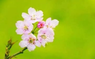 三月的思想汇报7篇