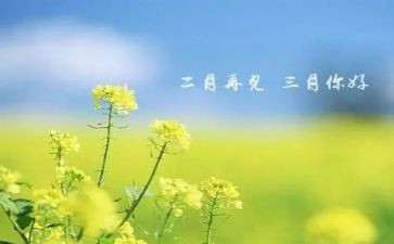 三月思想汇报8篇