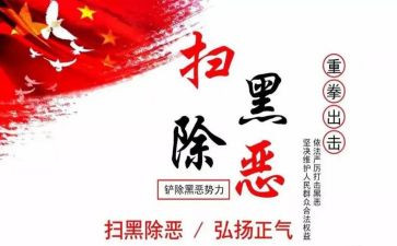 扫黑年度工作总结6篇