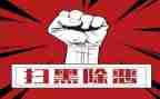 扫黑专项行动工作总结5篇
