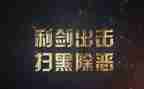 扫黑除恶2024年度工作总结6篇